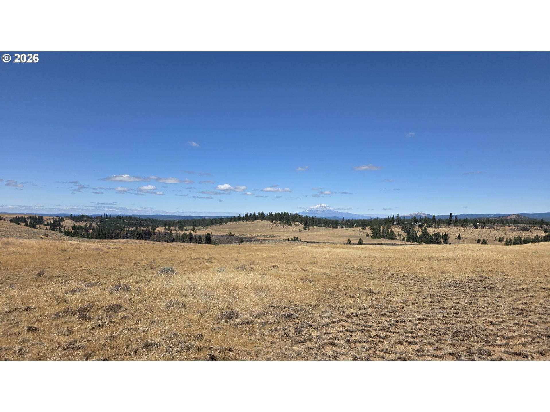 Olson Road, Unit 3 Centerville, WA 98613 - Photo 2 of 31 Gallery Image 2