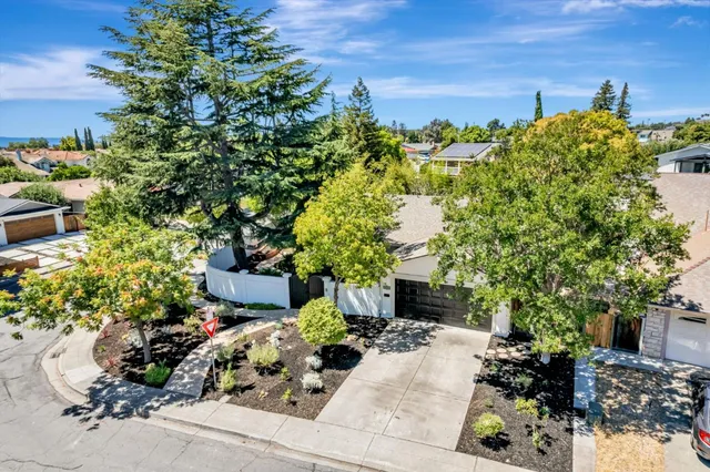 a view of a garden with flowers