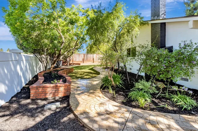 a view of a backyard with plants