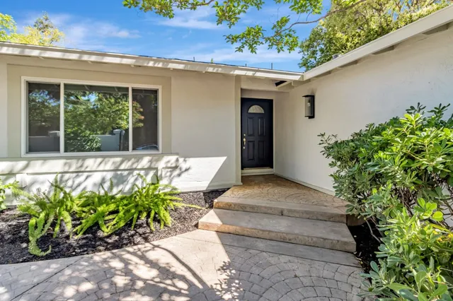 a potted plant sitting in front of a house