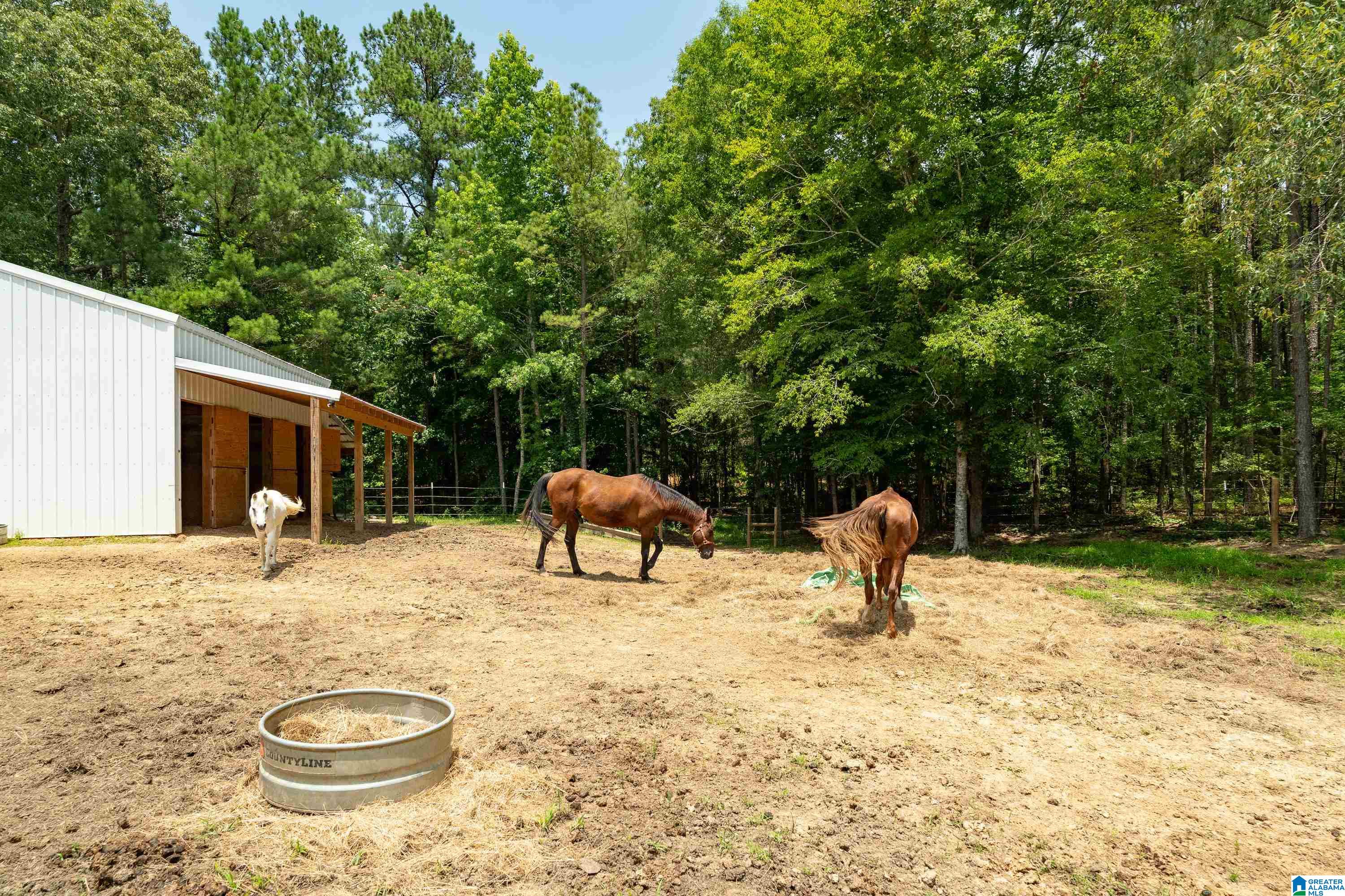 340 Lake Cottage Road Sterrett, AL 35147 - Photo 72 of 83