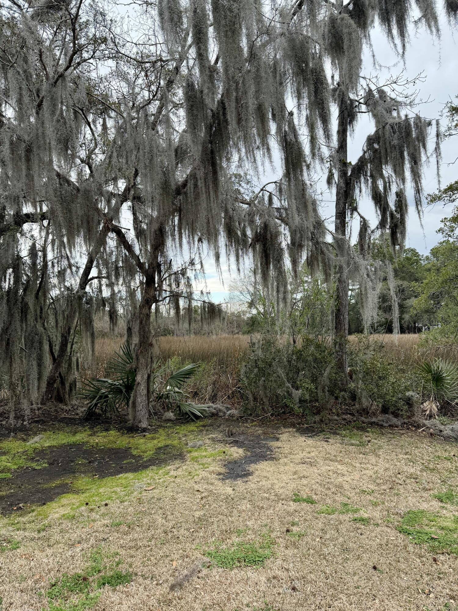 87 Ashley Hall Plantation Road, Unit 5 Charleston, SC 29407 - Photo 20 of 21 8CB6C39C-AEE3-4BED-9381-8463549D12EA_1_2
