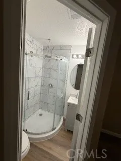 a bathroom with a shower and toilet