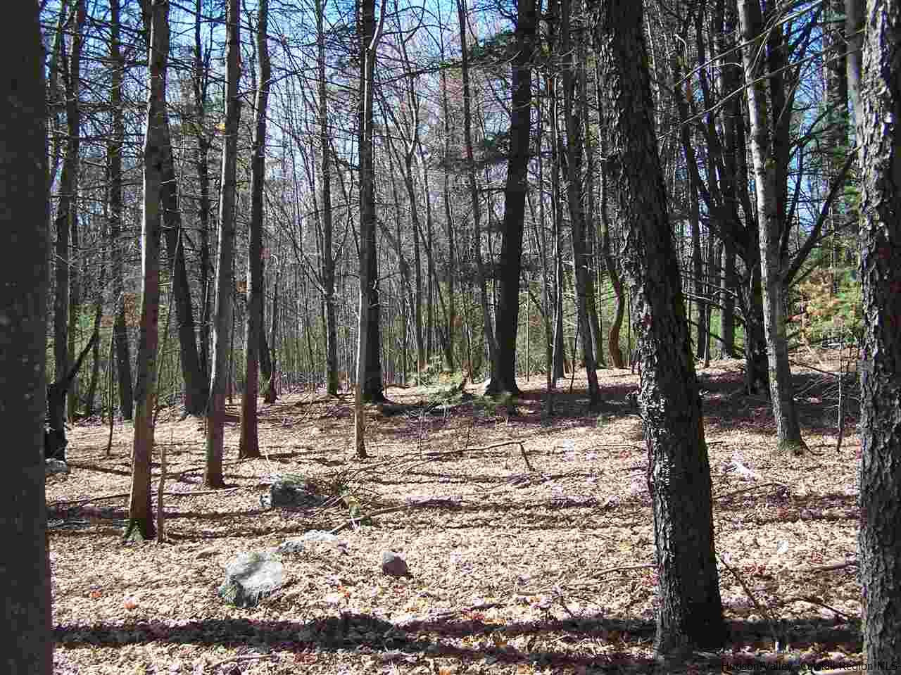 17 Ricci Road Accord, NY 12404 - Photo 22 of 25 Photo 22