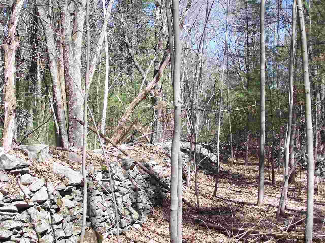 17 Ricci Road Accord, NY 12404 - Photo 23 of 25 Photo 23