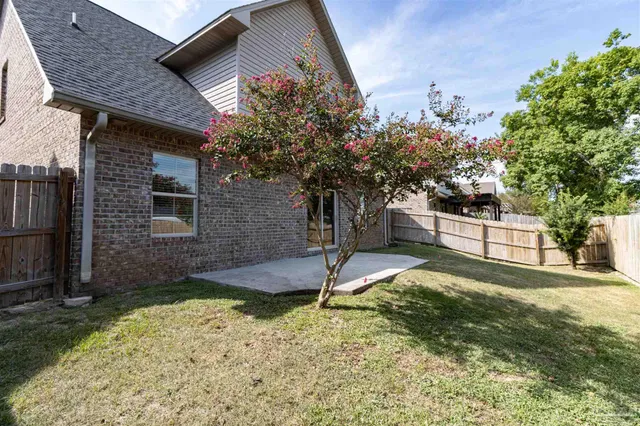 a view of backyard and tree