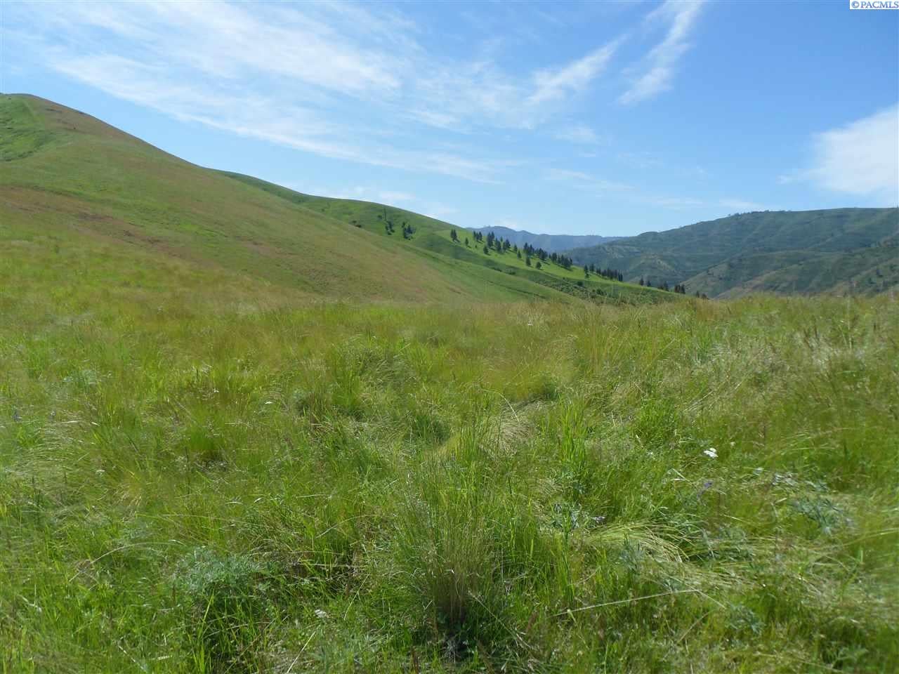 Nka Tucannon Road Pomeroy, WA 99347 - Photo 1 of 1 Gallery Image 1