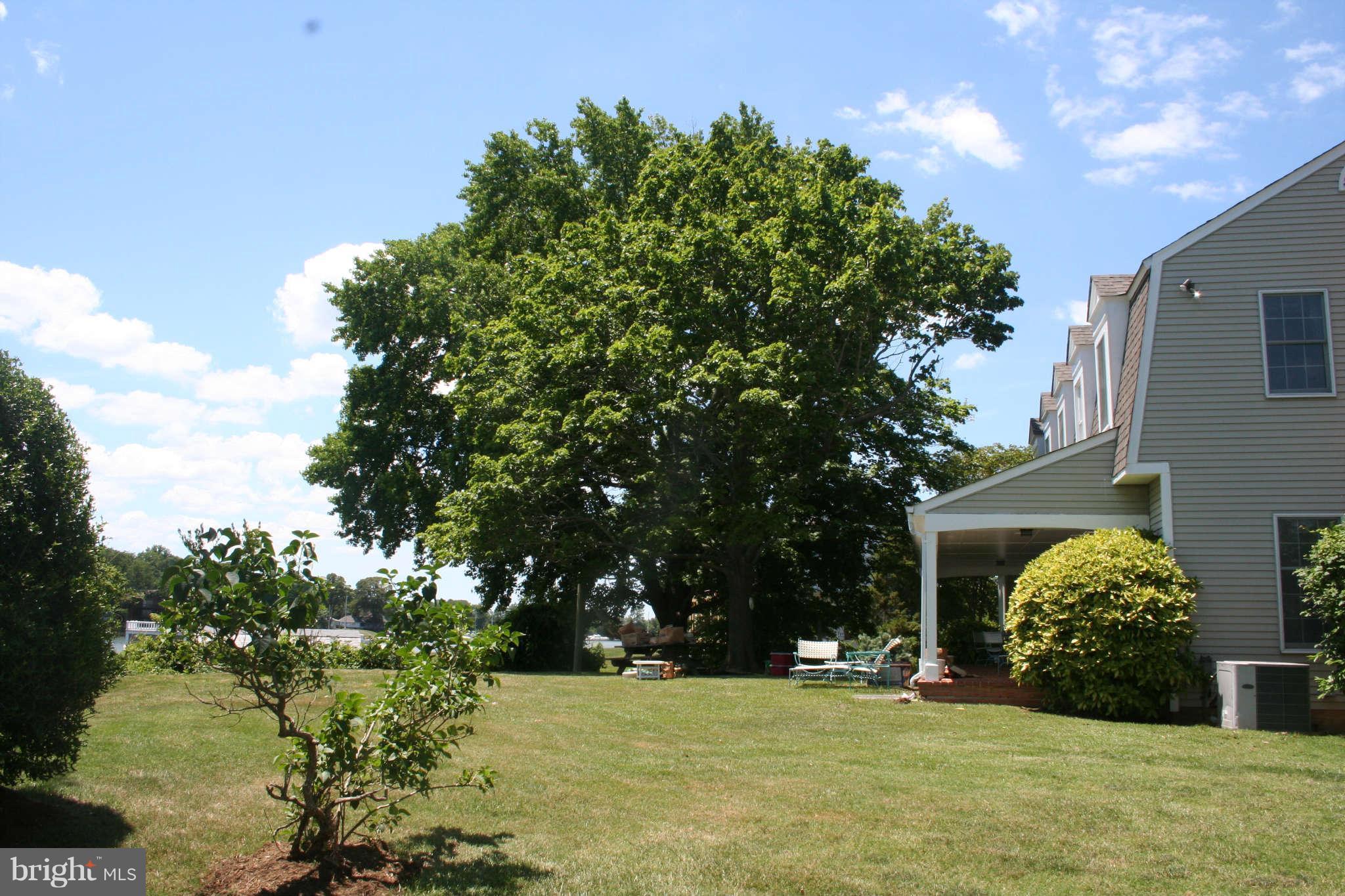 13648 Store Road Lusby, MD 20657 - Photo 4 of 23 Exterior (Rear)