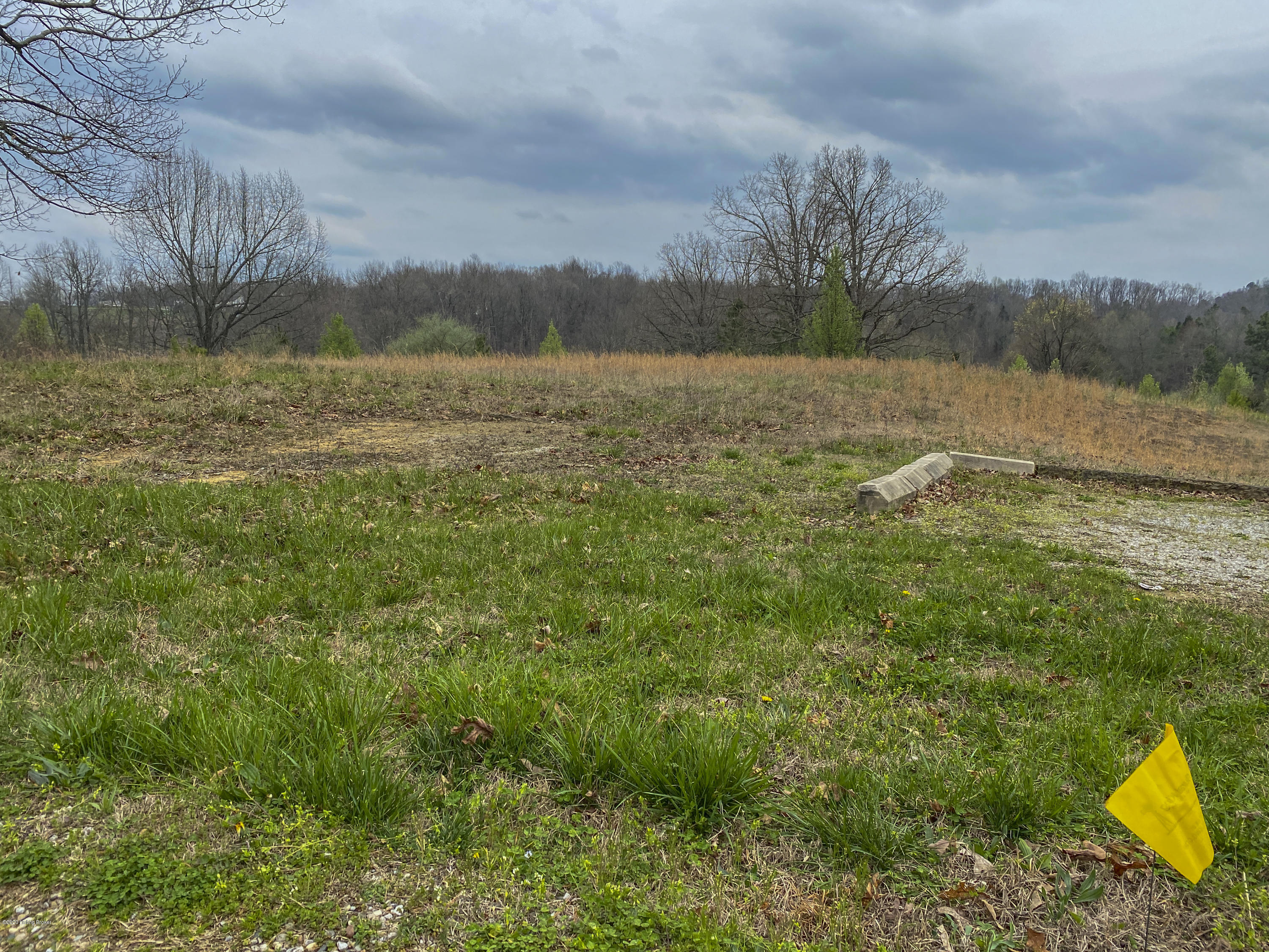 Lot 7 Sunbeam Road Leitchfield, KY 42754 - Photo 6 of 21 IMG_0626