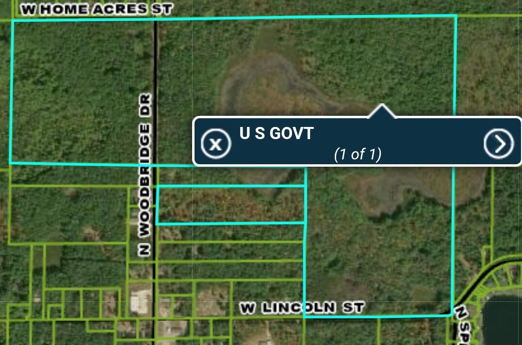 7746 North Woodbridge Road Brohman, MI 49312 - Photo 2 of 41 Federal acres in back