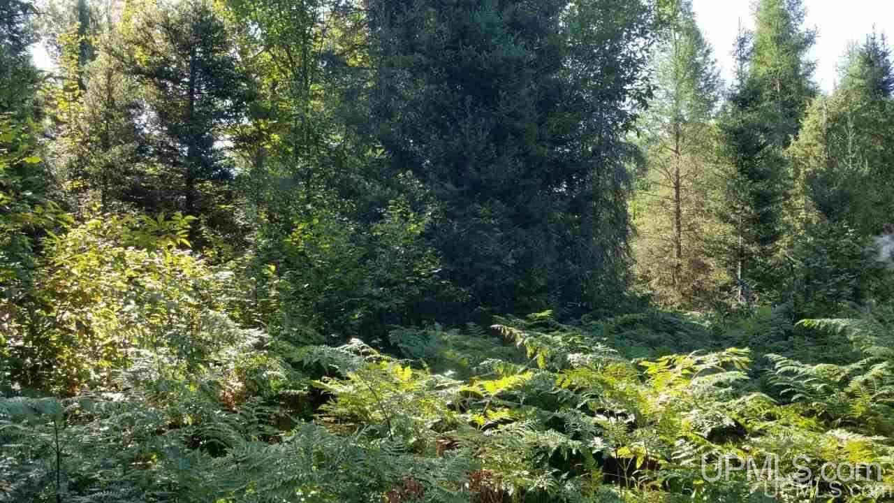 Tbd Fishing Site Road, Unit 1 Amasa, MI 49903 - Photo 12 of 19