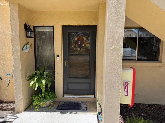 a potted plant in front of a door