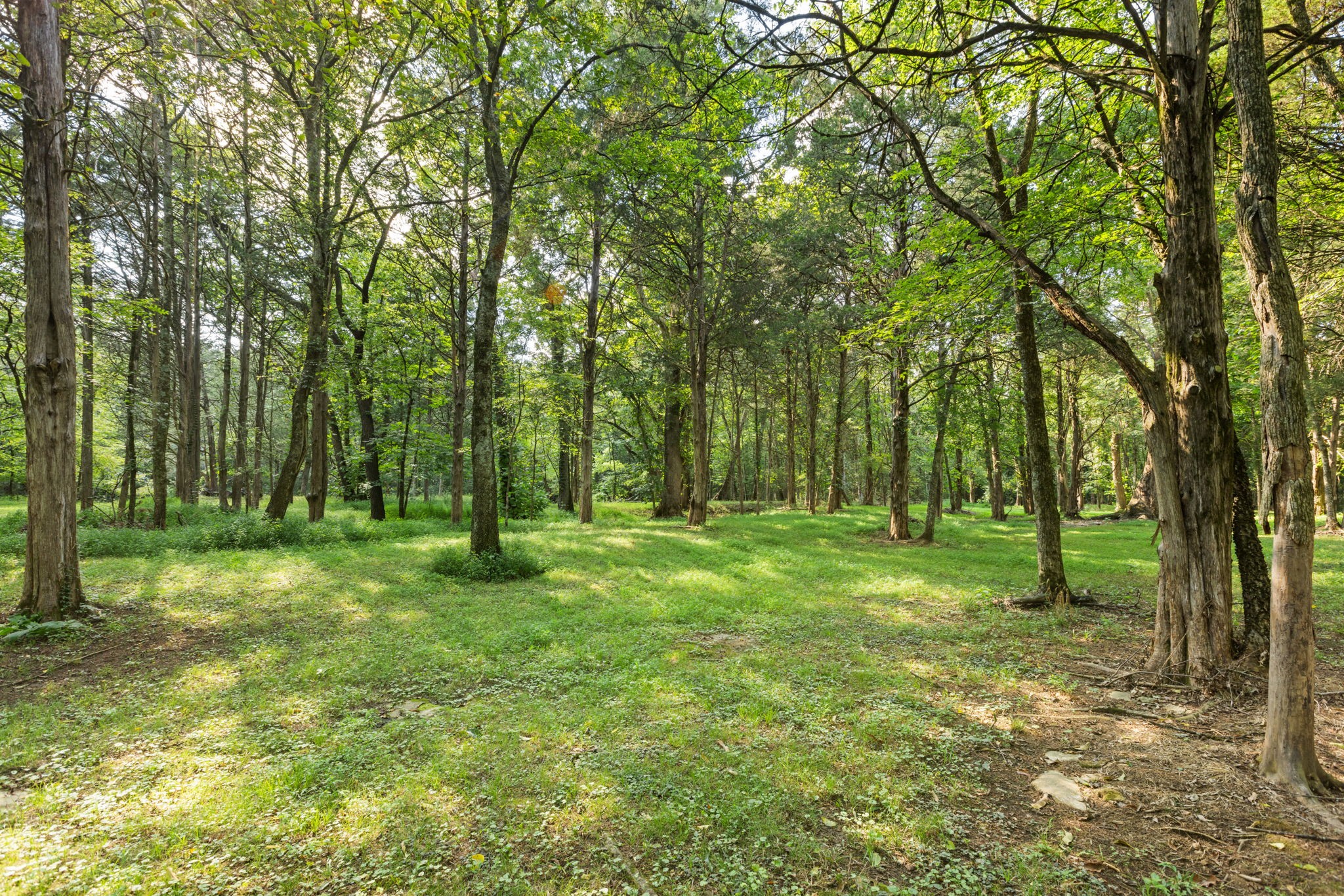 1825 North Lovvorn Road Christiana, TN 37037 - Photo 85 of 97