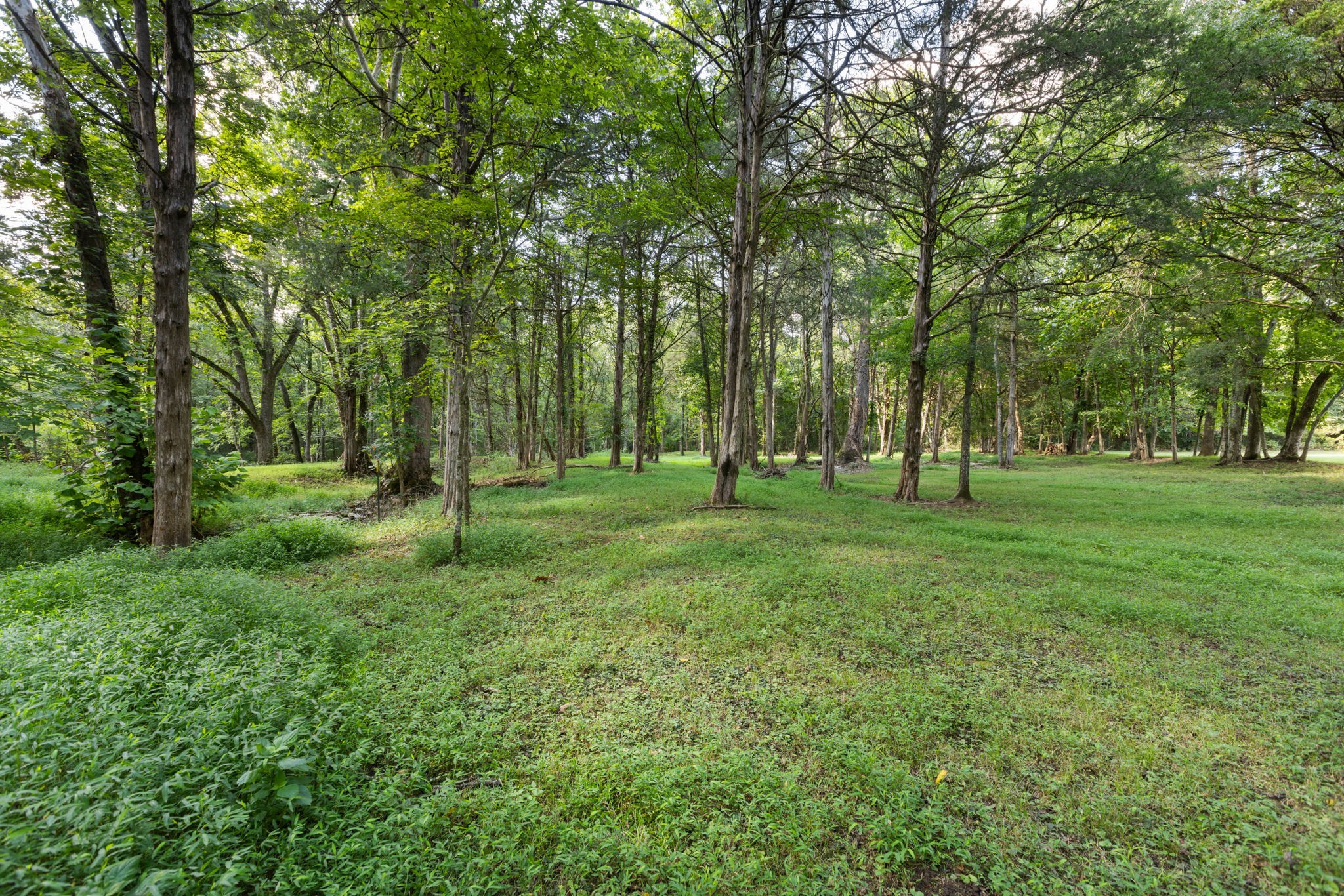 1825 North Lovvorn Road Christiana, TN 37037 - Photo 86 of 97