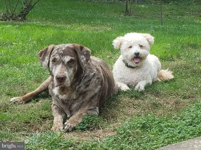 $400,000 | 319 Wayne Avenue, Westminster, MD 21157