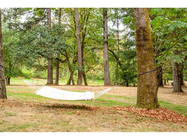 a view of a yard with an trees