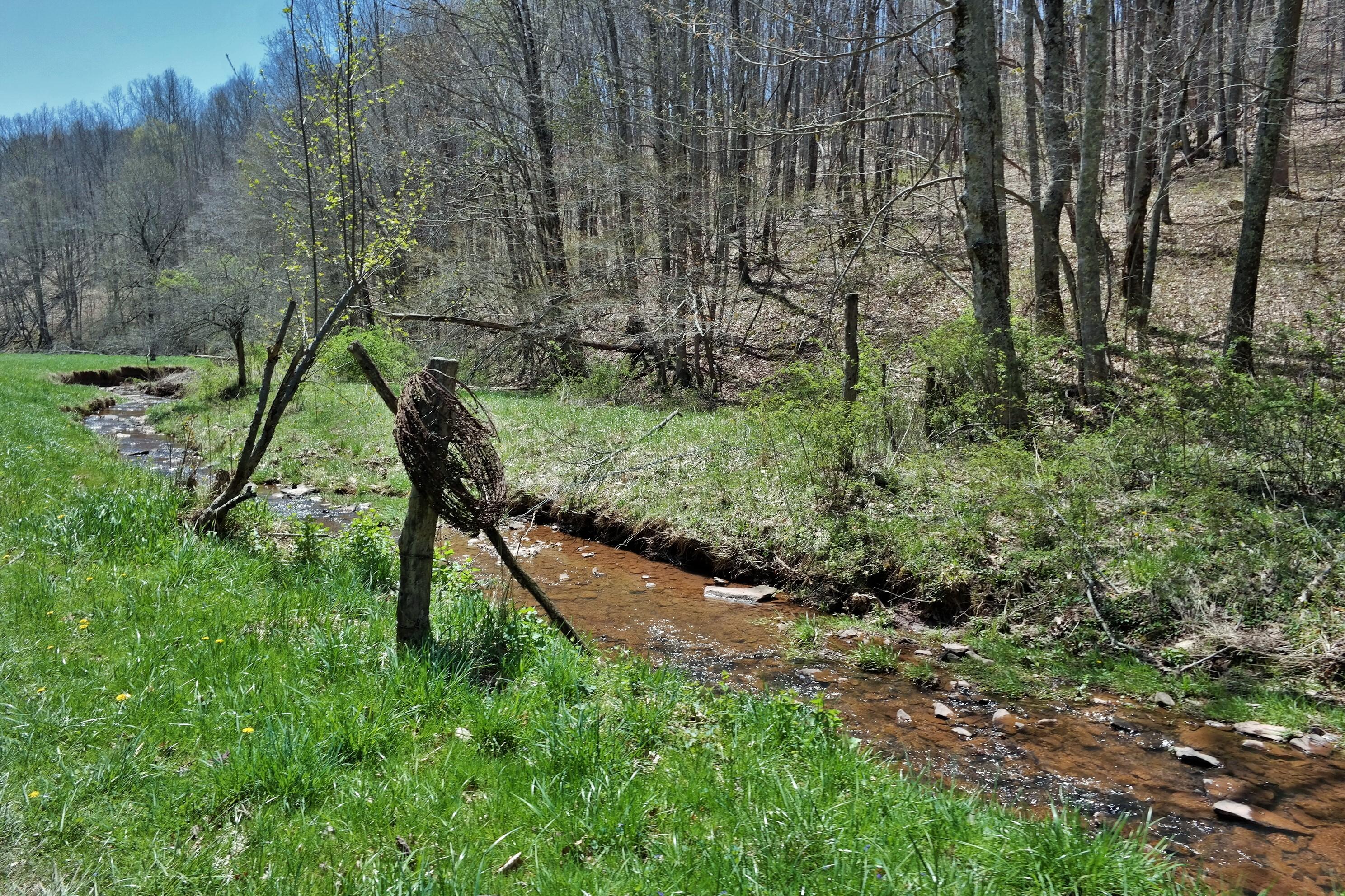 3678 Snake Run Road Alderson, WV 24910 - Photo 69 of 124 Gallery Image 69