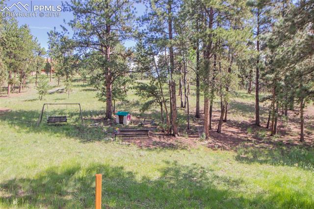 275 Thunder Ridge Road Florissant, CO 80816 - Photo 21 of 22