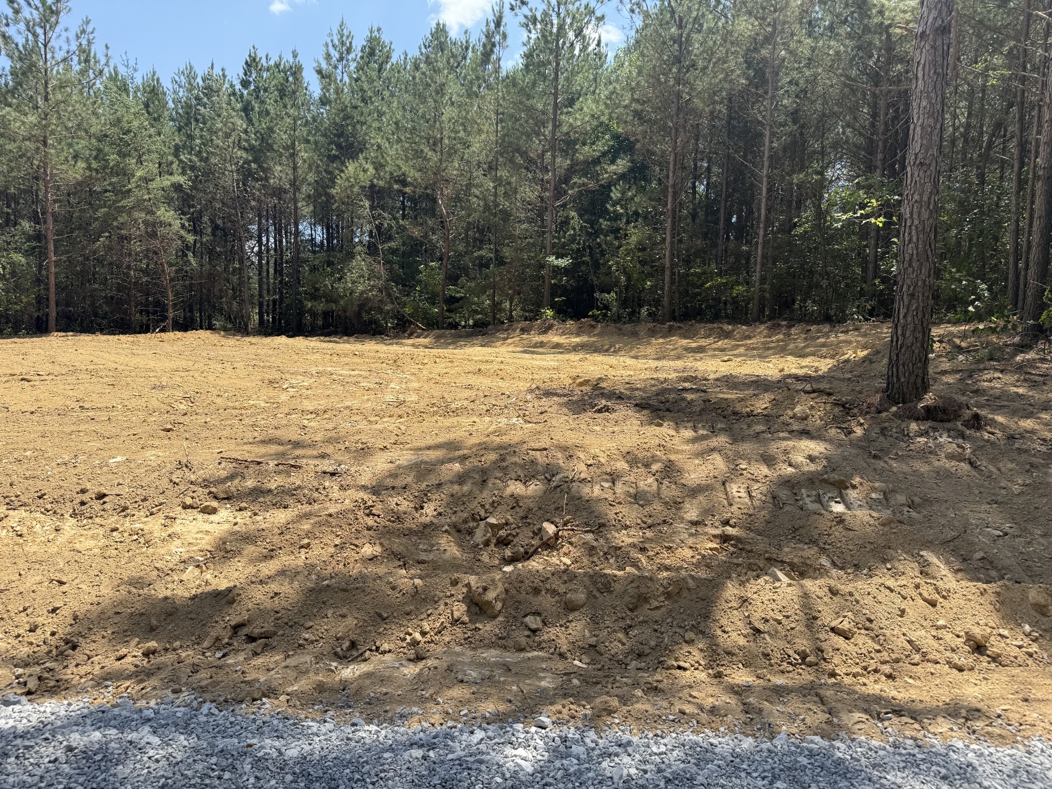 9217 Taylors Chapel Road Sparta, TN 38583 - Photo 3 of 23