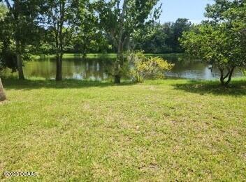 546 Ruth Street Port Orange, FL 32127 - Photo 6 of 8 Back Yard Retention Pond