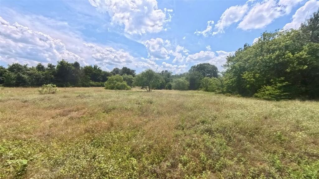 510 New Highland Road Springtown, TX 76082 - Photo 6 of 24