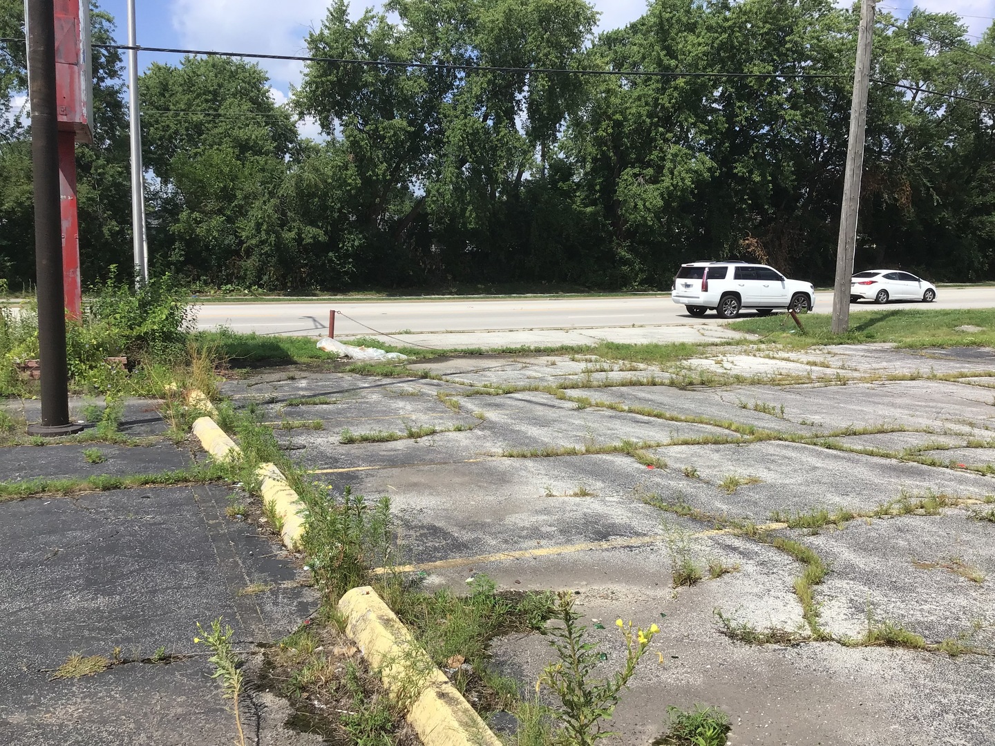 1645 Western Avenue Chicago Heights, IL 60411 - Photo 11 of 20 a view of swimming pool with a yard