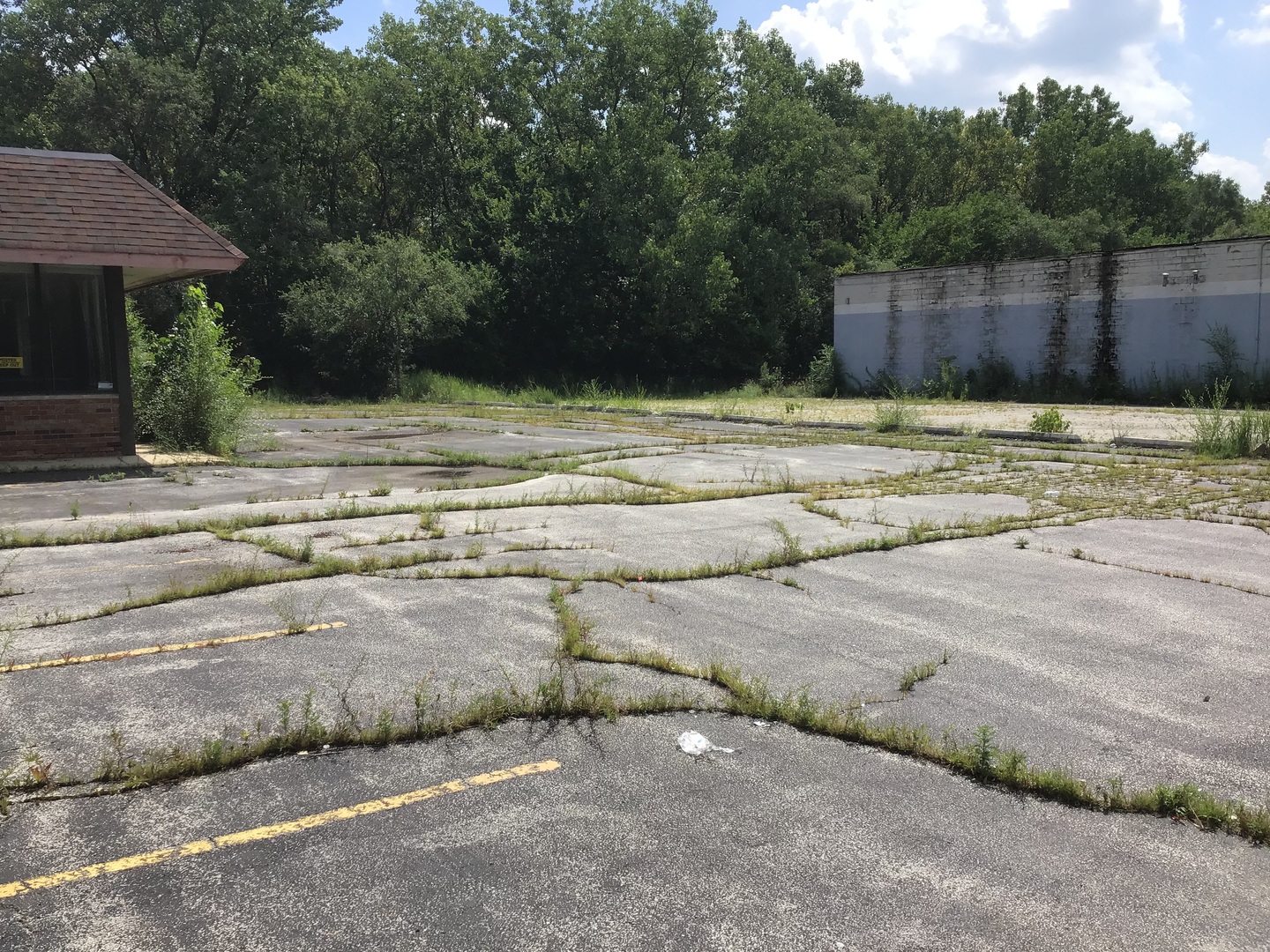 1645 Western Avenue Chicago Heights, IL 60411 - Photo 8 of 20 a view of a backyard