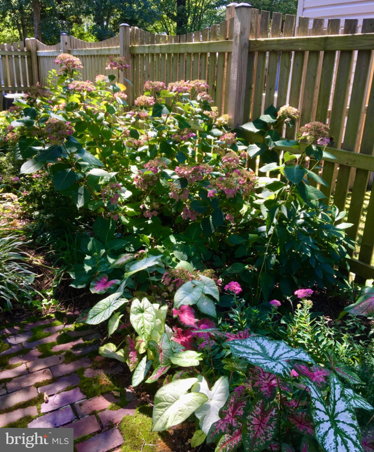 700 South Talbot Street St. Michaels, MD 21663 - Photo 80 of 83 Owner photo of summertime gardens