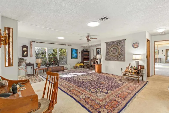 a living room with furniture rug and window
