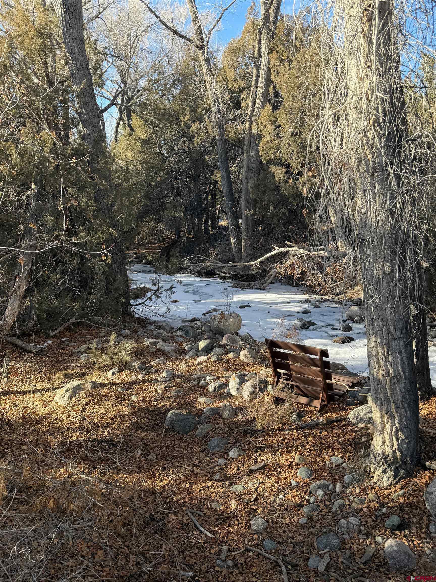 3899 Rarity Way Crestone, CO 81131 - Photo 3 of 8