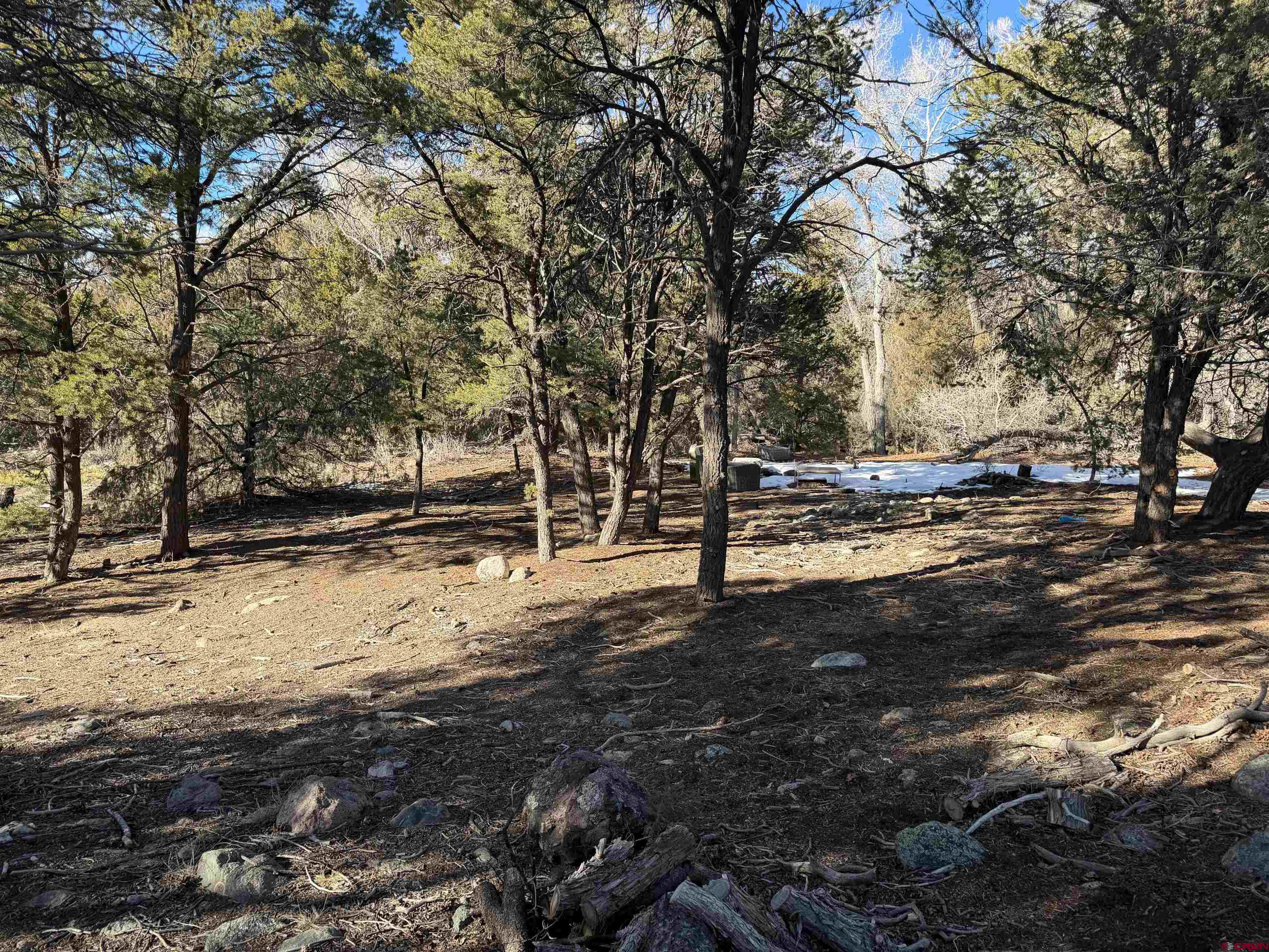 3899 Rarity Way Crestone, CO 81131 - Photo 6 of 8