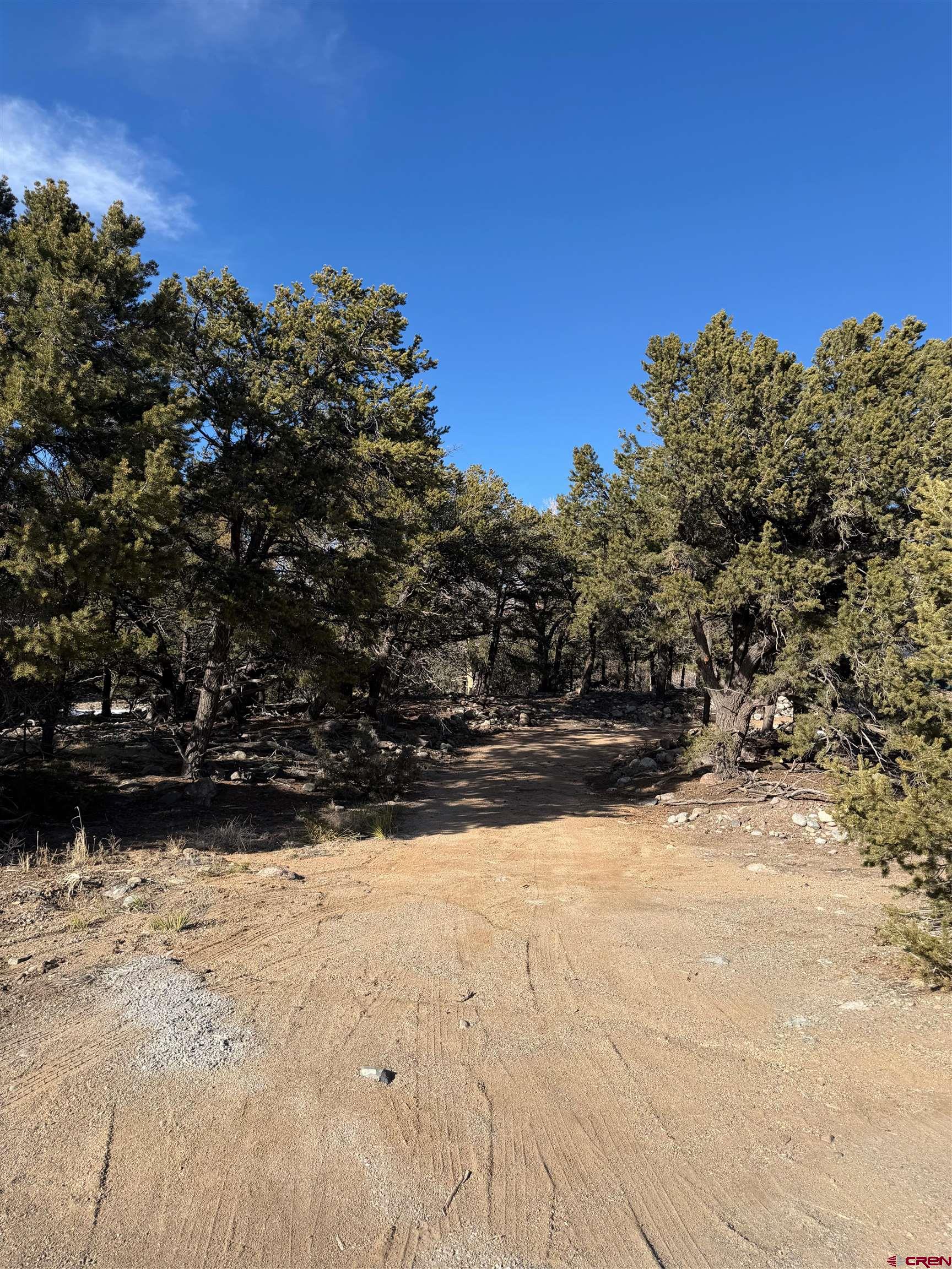 3899 Rarity Way Crestone, CO 81131 - Photo 7 of 8