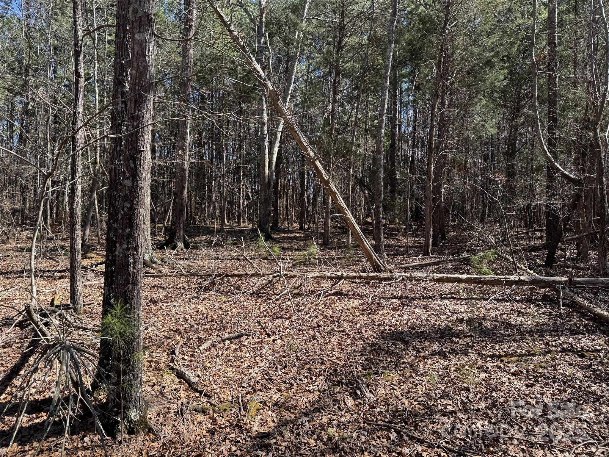 1905 Bechtler Road Edgemoor, SC 29712 - Photo 2 of 3