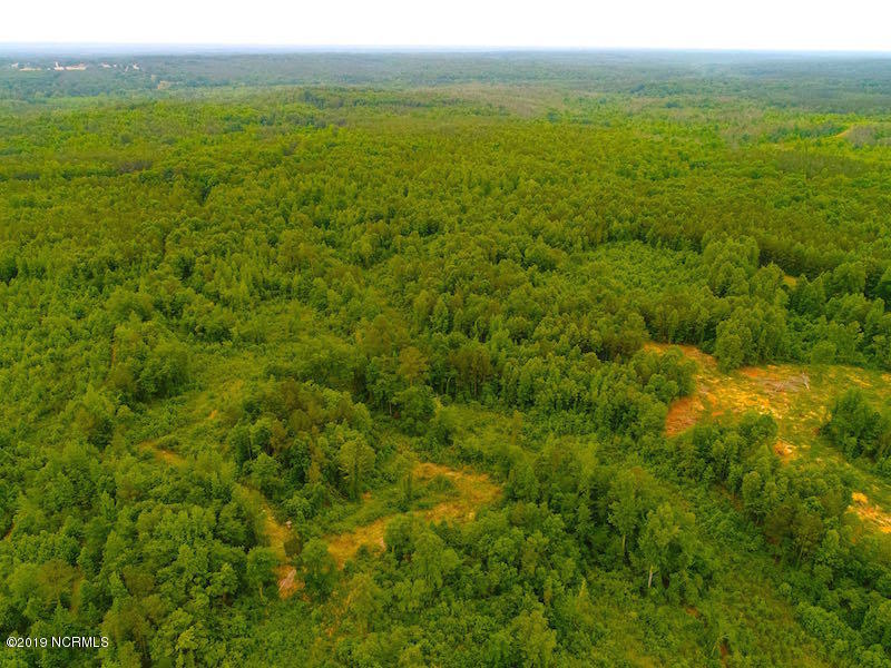 Off Mt View Church Road Moncure, NC 27559 - Photo 3 of 31 DJI_0507