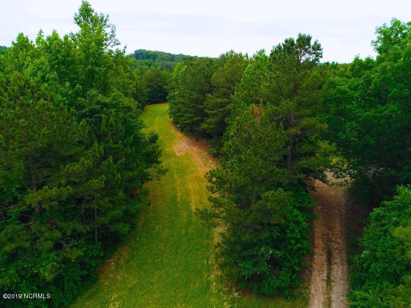 Off Mt View Church Road Moncure, NC 27559 - Photo 4 of 31 DJI_0543