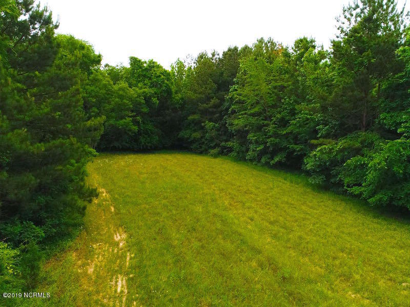 Off Mt View Church Road Moncure, NC 27559 - Photo 7 of 31 DJI_0540