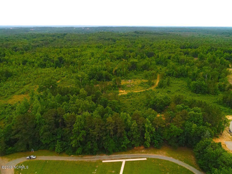 Off Mt View Church Road Moncure, NC 27559 - Photo 8 of 31 DJI_0499