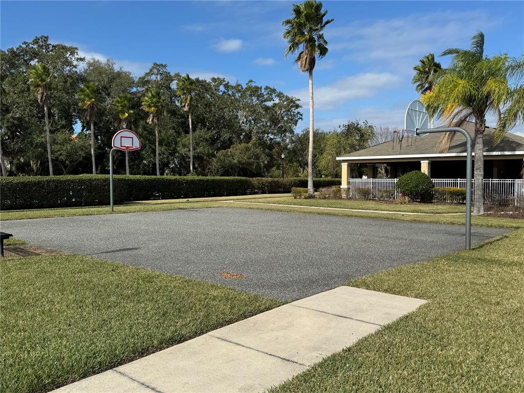 2318 Tanbark Ridge Place, Unit 2318 Plant City, FL 33563 - Photo 49 of 64 a view of a basketball court