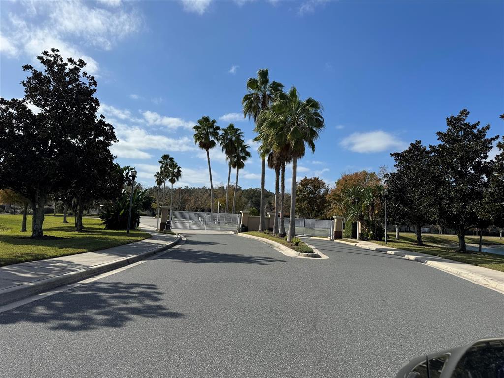 2318 Tanbark Ridge Place, Unit 2318 Plant City, FL 33563 - Photo 60 of 64 a row of palm trees sitting on a sidewalk