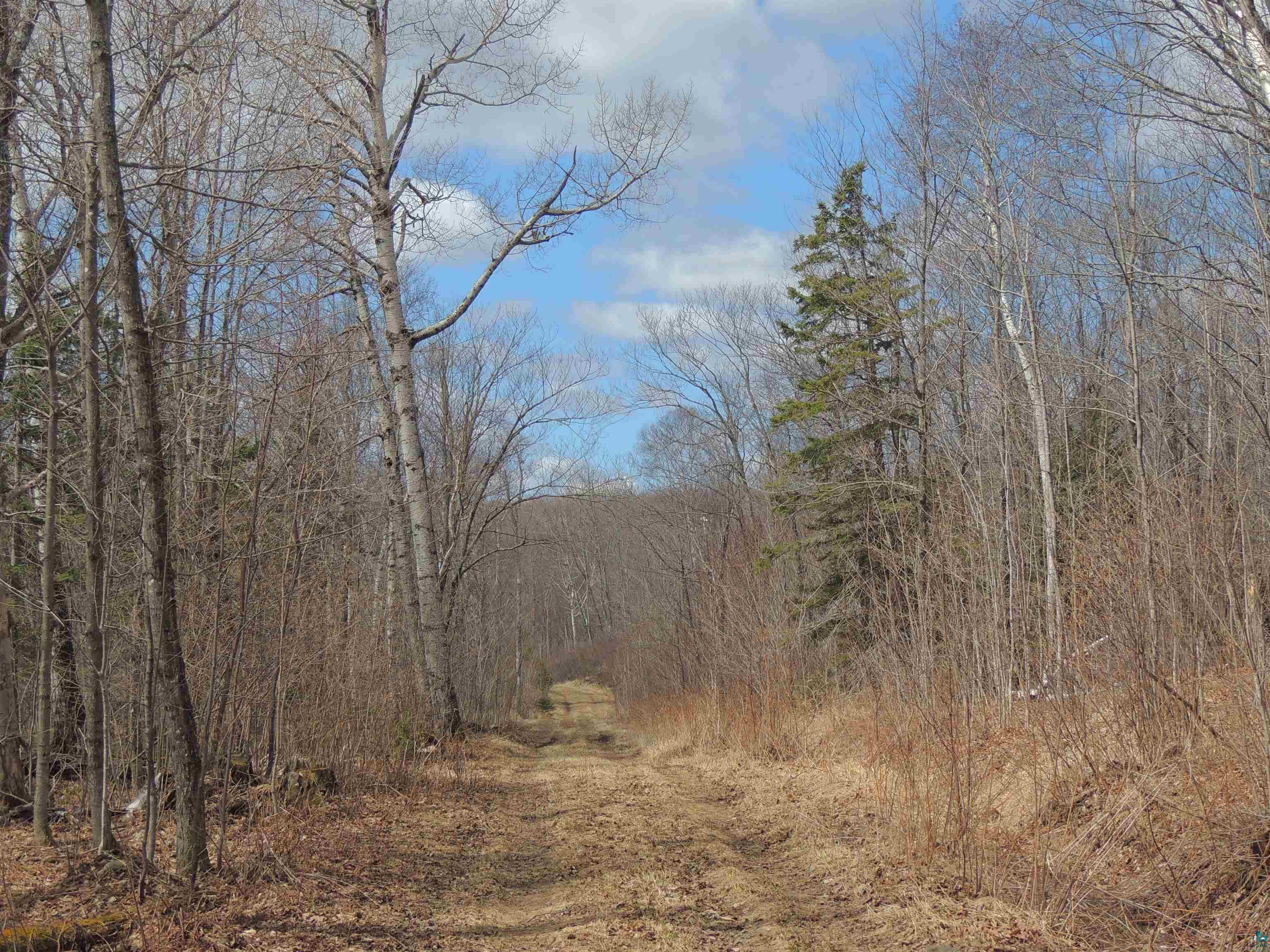 Xxx Springdale Road Tofte, MN 55615 - Photo 32 of 36