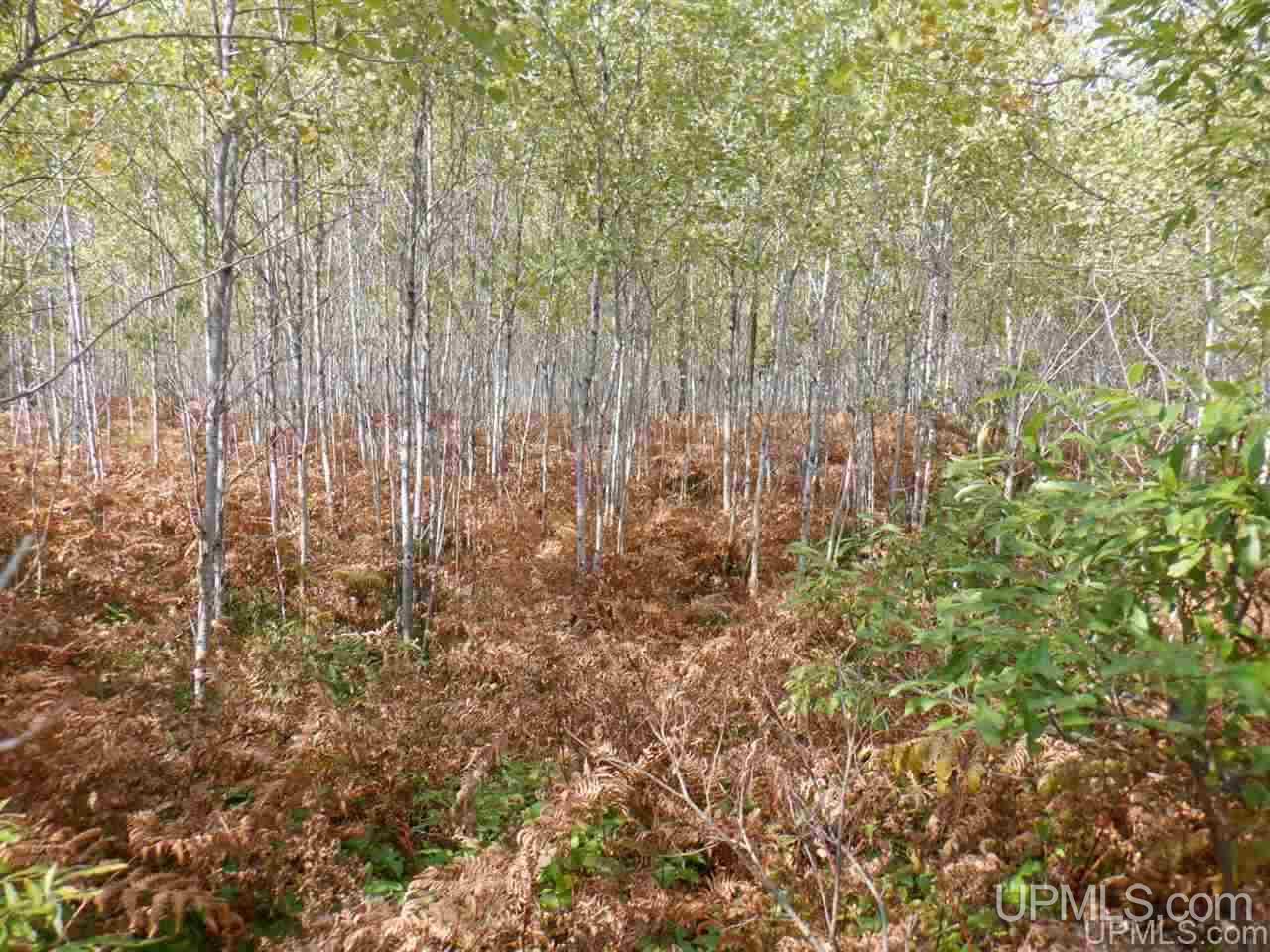 Tbd Bone Lake Road Amasa, MI 49903 - Photo 23 of 29