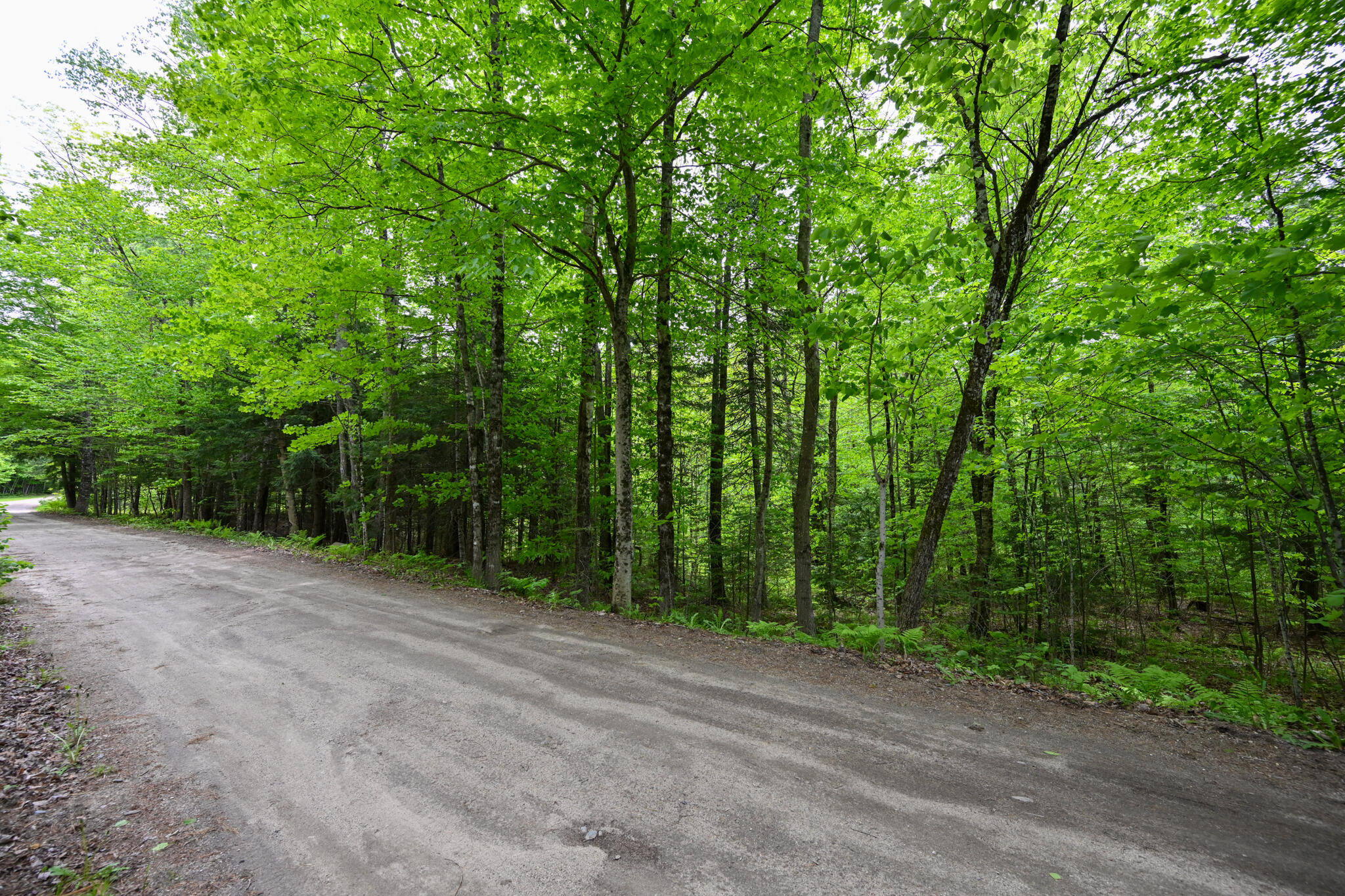 Lot 16 Old Towle Road Dixfield, ME 04224 - Photo 6 of 14 View from road