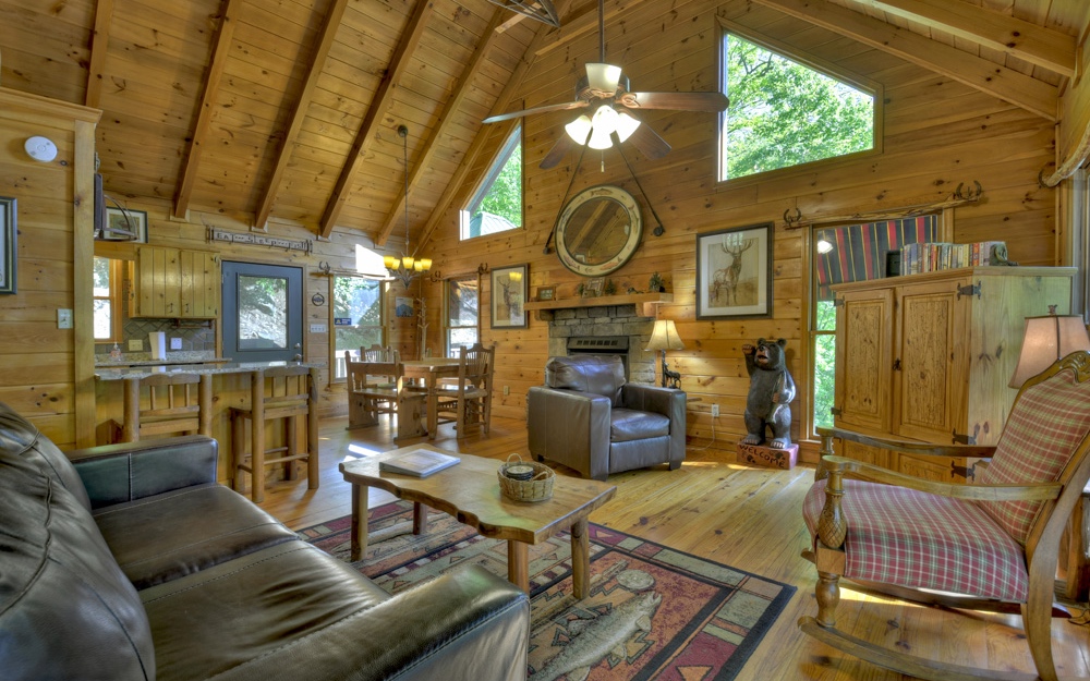 993 Fish Trap Road Mineral Bluff, GA 30559 - Photo 3 of 4 Additional View