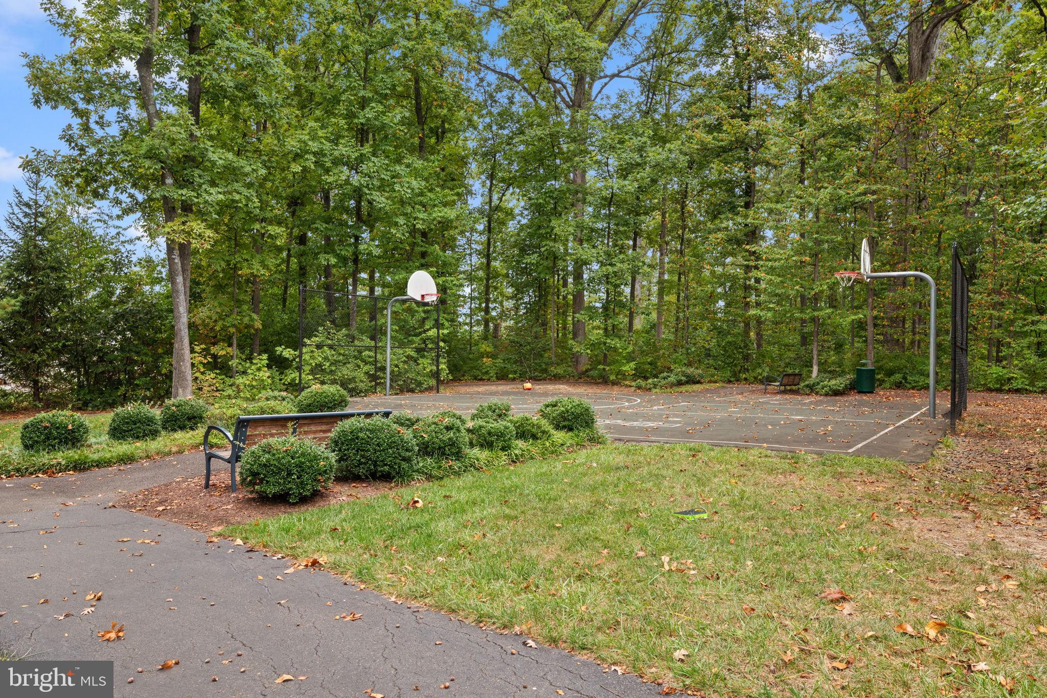 12203 Aster Road Bristow, VA 20136 - Photo 50 of 55 Secluded basketball court amidst lush greenery.