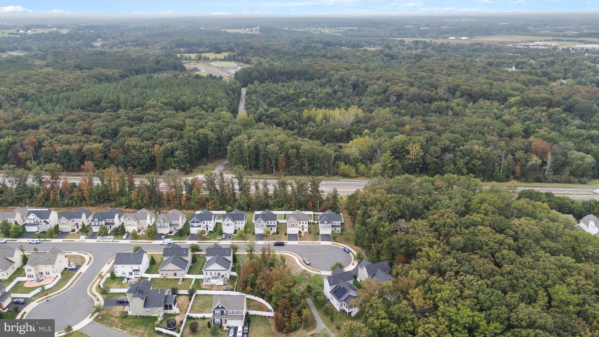 12203 Aster Road Bristow, VA 20136 - Photo 54 of 55 Serene suburban landscape meets lush greenery.