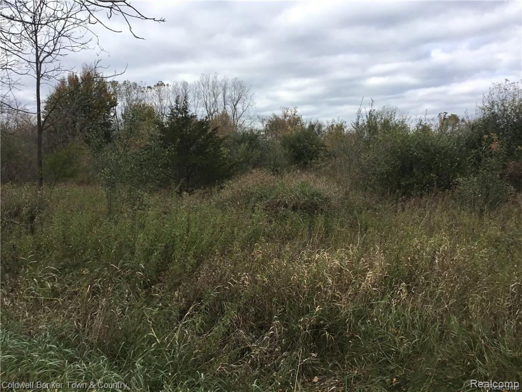 2 Braden Road Perry, MI 48872 - Photo 1 of 6
