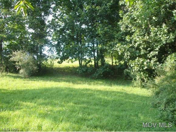 0 C Road Ellenboro, WV 26346 - Photo 10 of 11 Gallery Image 10
