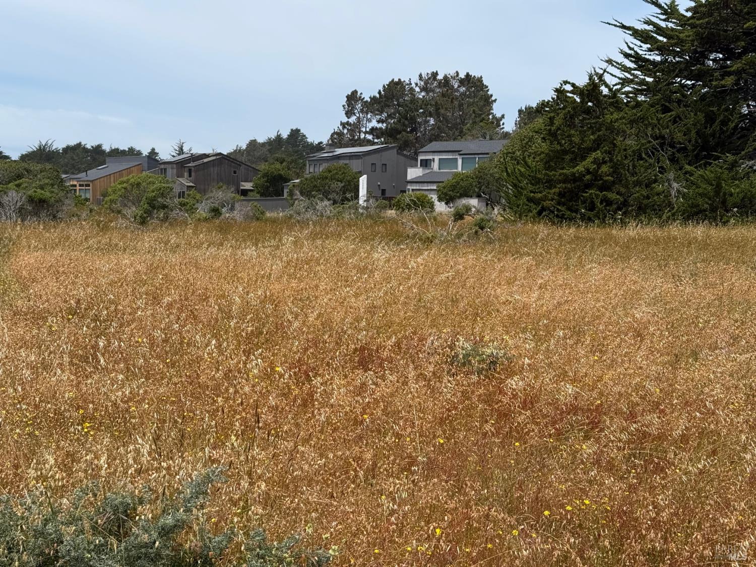 180 Windrow The Sea Ranch, CA 95497 - Photo 2 of 6 a view of a lake with houses in outdoor space