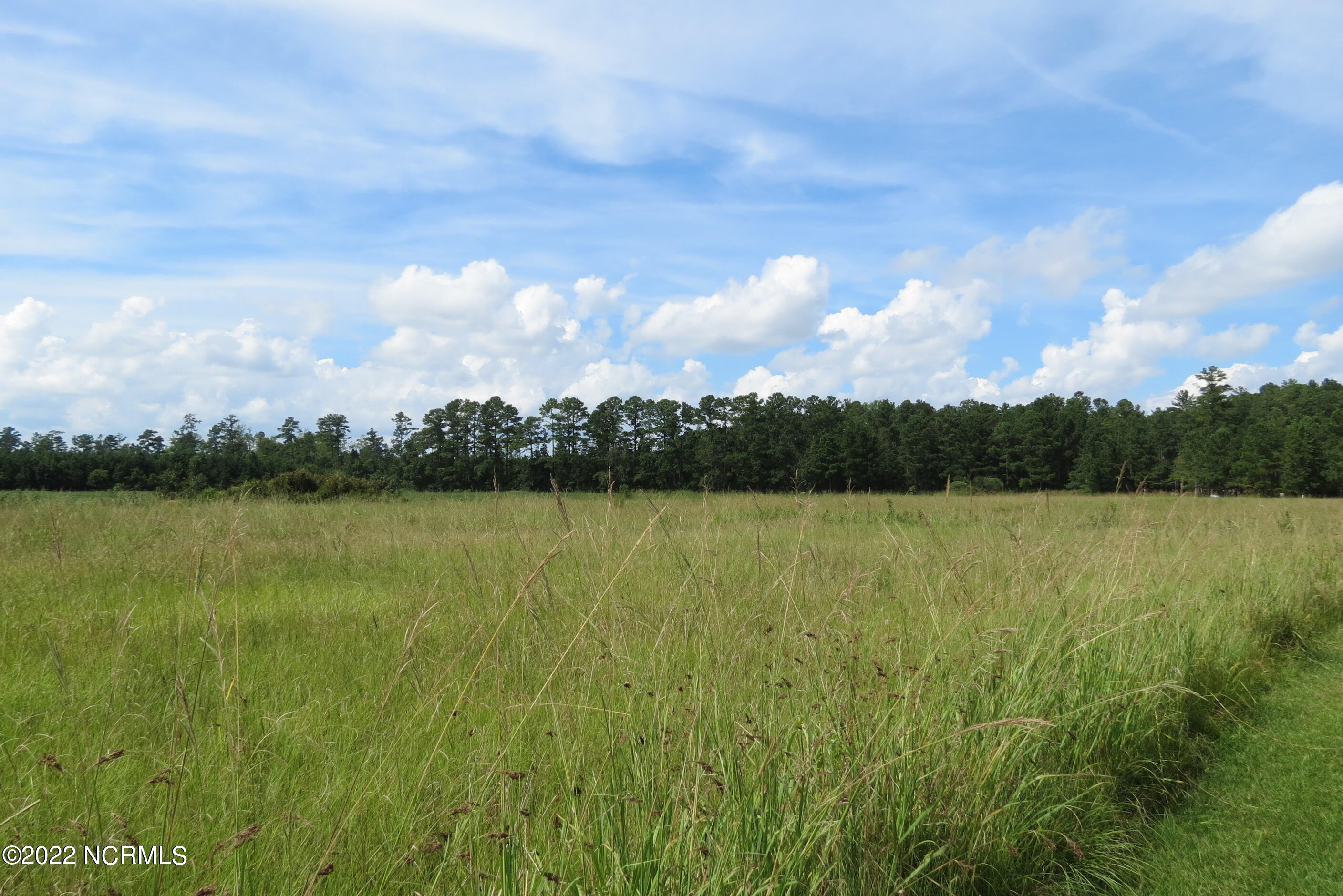 0 Quail Road Merritt, NC 28556 - Photo 23 of 44 IMG_6984