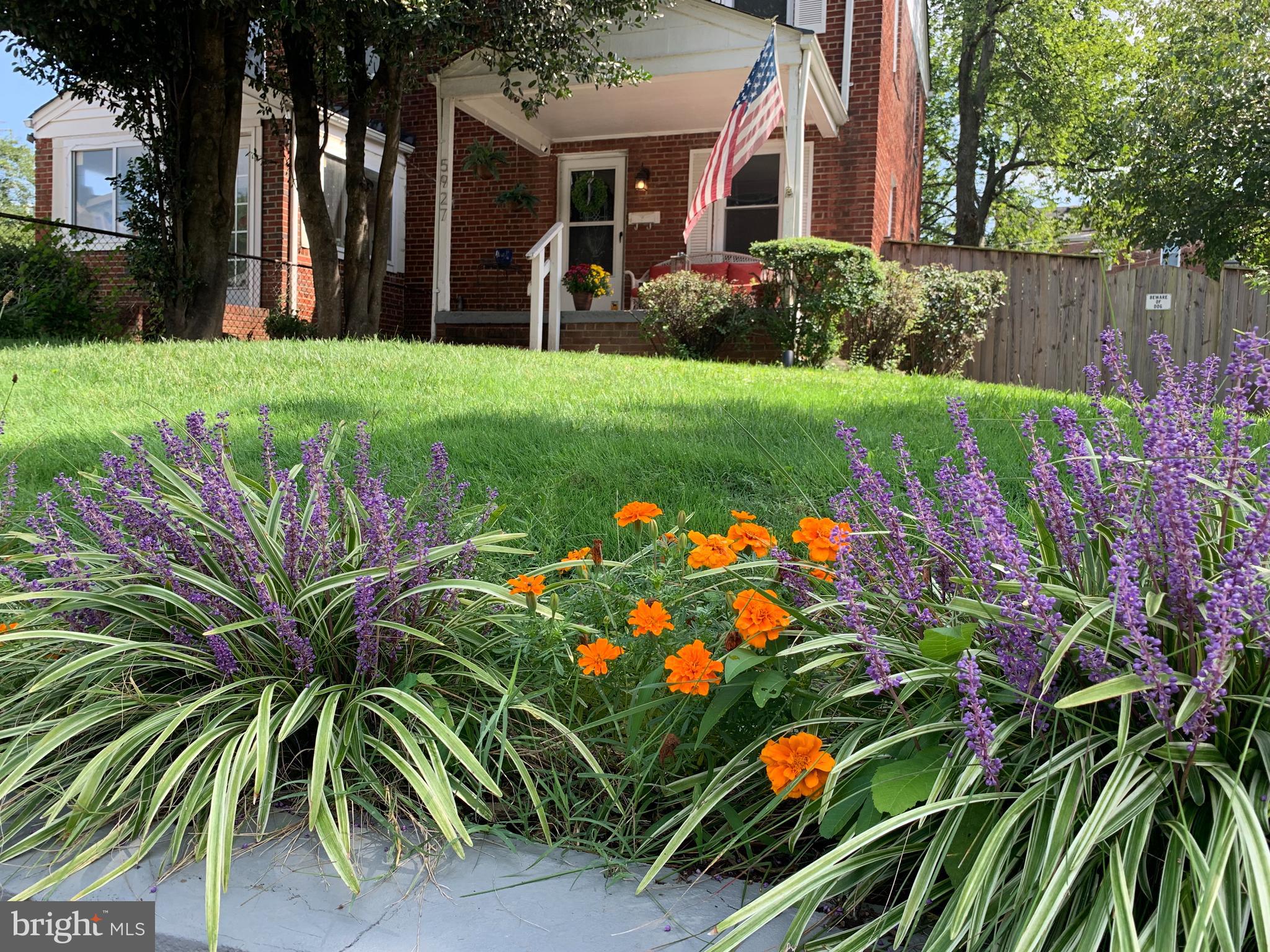 5927 Williamsburg Road Alexandria, VA 22303 - Photo 38 of 38 Lovely Landscaping Surroundings